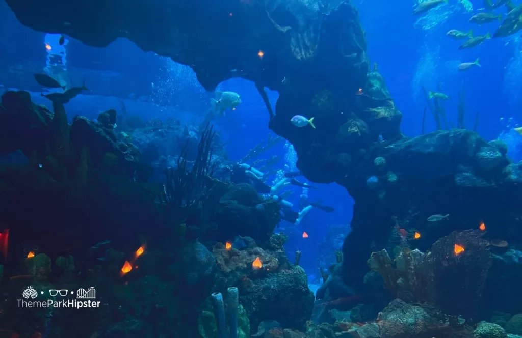 Coral Reef Restaurant at Epcot in Disney World Aquarium with diver on DiveQuest in Seas Pavilion one of the best things to do at Disney World in the Summer!