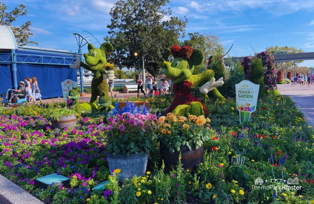 Epcot Flower and Garden Festival Itinerary 2025 Mickey and Minnie Mouse Topiary