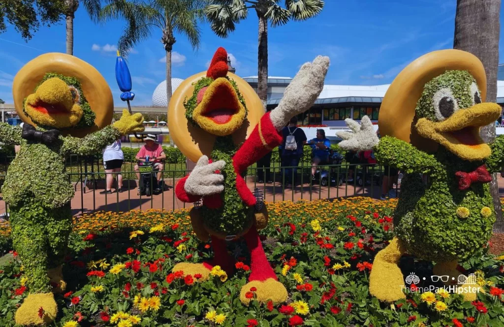 Epcot Flower and Garden Festival Three Caballeros Topiary with Donald Duck with Panchito and Jose. Keep reading to get the best hip packs and fanny packs for Disney World.