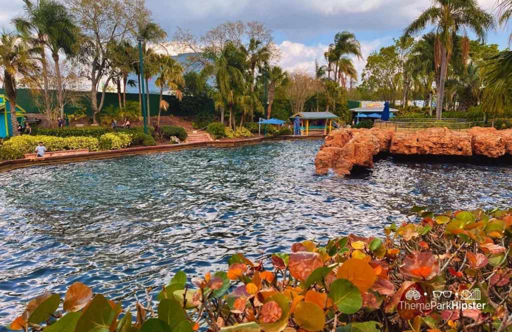 SeaWorld Orlando Resort Dolphin Area in Key West