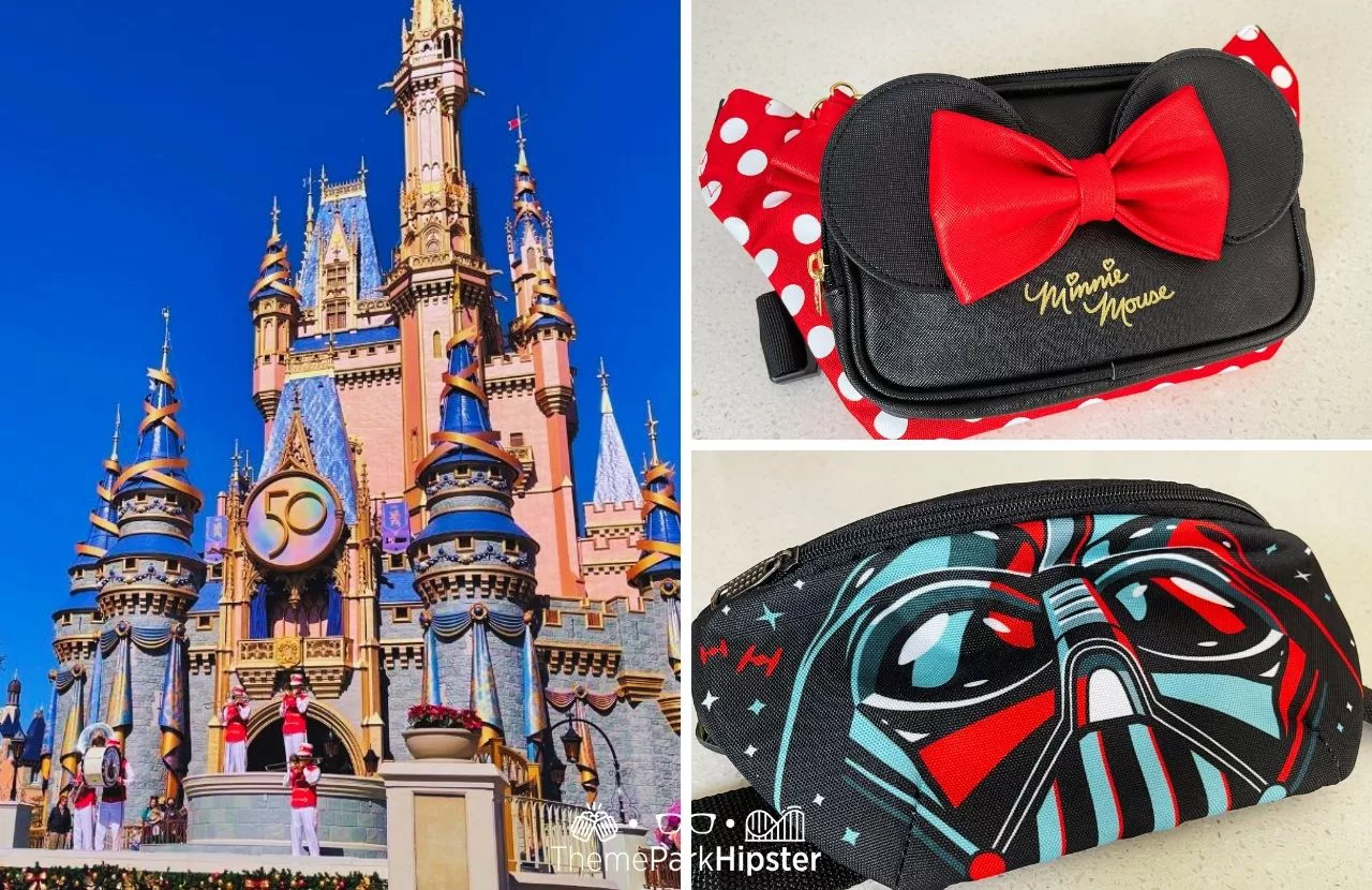 Guide to the Best Fanny Packs for Disney World