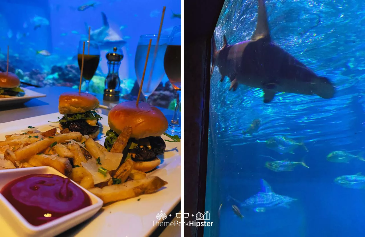 SeaWorld Orlando Resort Sharks Underwater Grill Kobe Beef Sliders