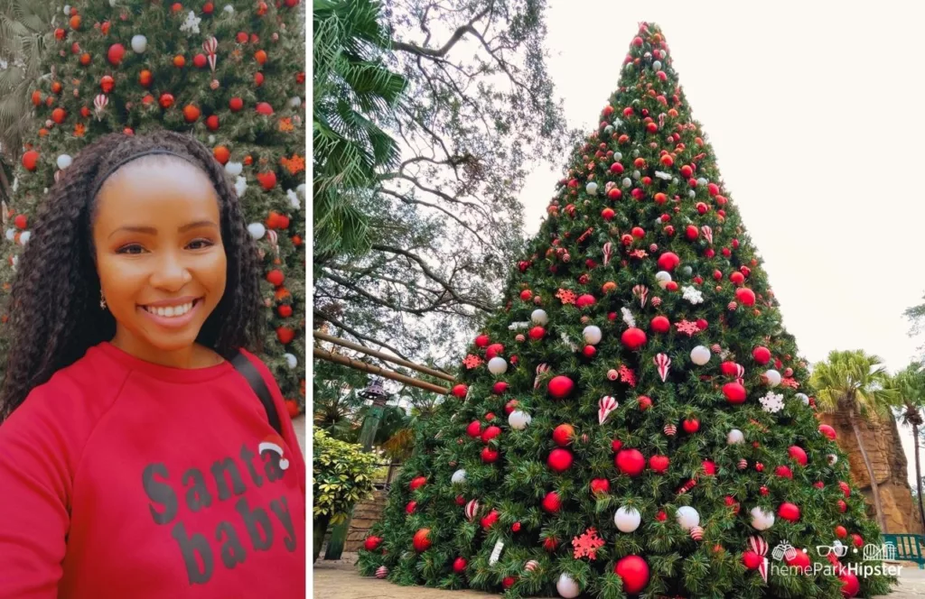 Editor Nikky J on a Solo Christmas trip to Busch Gardens Tampa Bay with a grand holiday tree adorned in Christmas decorations. Keep reading to discover what are the best hotels near Busch Gardens Tampa.
