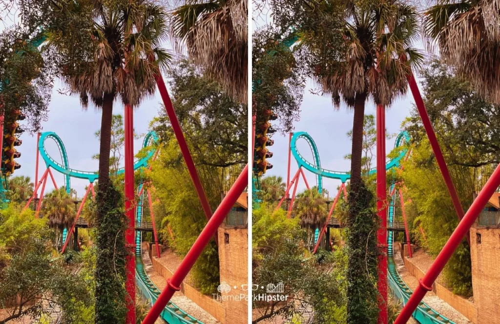 Busch Gardens Tampa Bay Kumba Roller Coaster. Continue for more tips on choosing the best Busch Gardens Annual Pass for you.