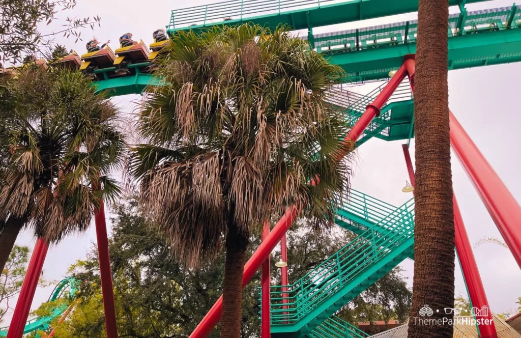 Busch Gardens Tampa Bay Kumba Roller Coaster. One of the best roller coasters at Busch Gardens Tampa.