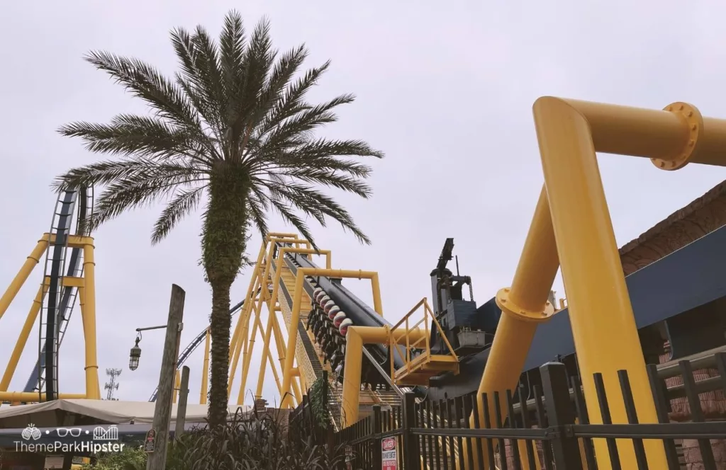 Busch Gardens Tampa Bay Montu Roller Coaster