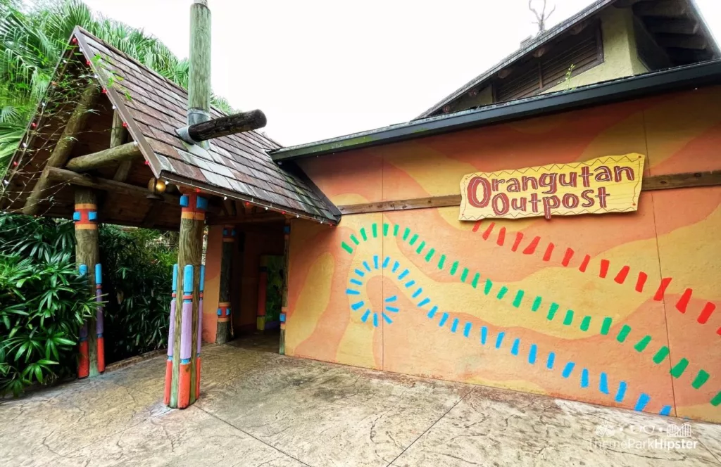 Busch Gardens Tampa Bay Orangutan Outpost sign on an orange building with African inspired design and colors. Keep reading to learn more about Busch Gardens Tampa animals.