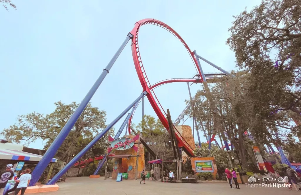 Busch Gardens Tampa Bay Sheikra Roller Coaster