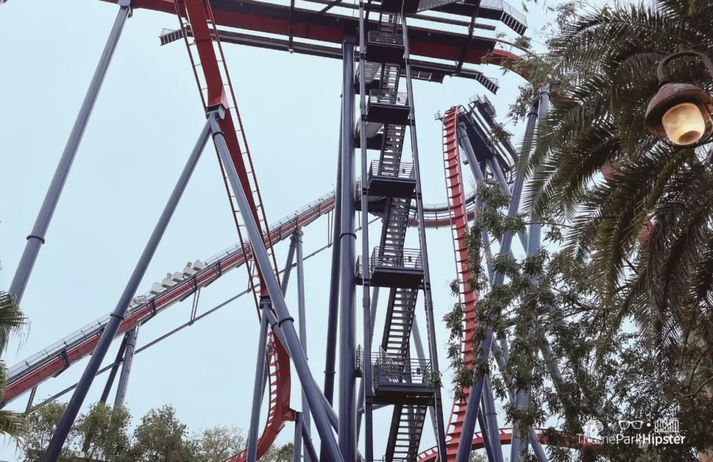 Busch Gardens Tampa Bay Sheikra Roller Coaster