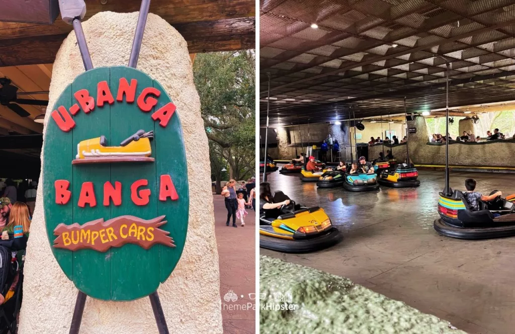 Busch Gardens Tampa Bay UBanga Banga Bumper Cars. One of the must do at Busch Gardens Tampa.