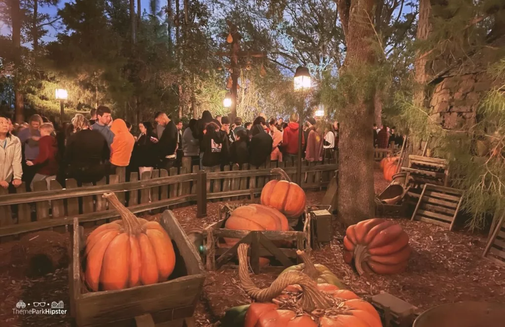 Universal Orlando Resort Hagrids Motorbike Adventure Roller Coaster at Harry Potter World Islands of Adventure pumpkins in the queue at the Wizarding World of Harry Potter.