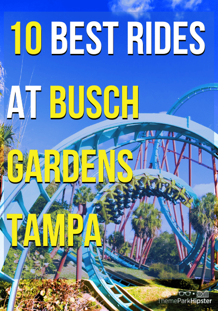 Top 10 Best Rides at Busch Gardens Tampa