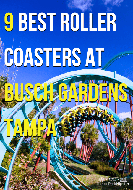 Best Roller Coasters at Busch Gardens Tampa