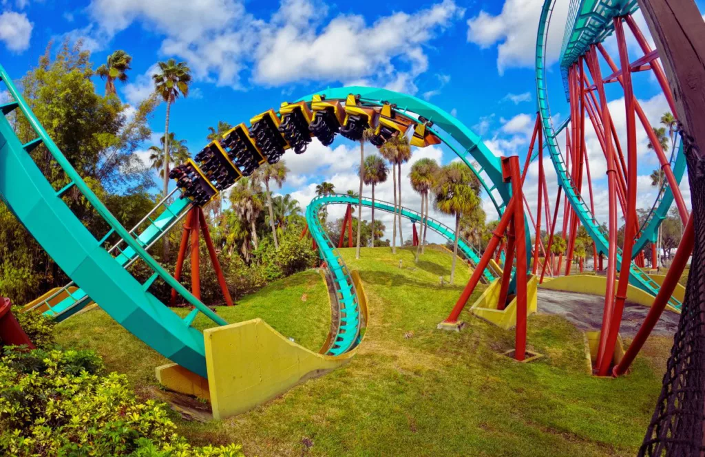 Kumba Roller soaring through a twist upsdide down with theme park riders at Busch Gardens Tampa. Keep reading to discover what are the best hotels near Busch Gardens Tampa.