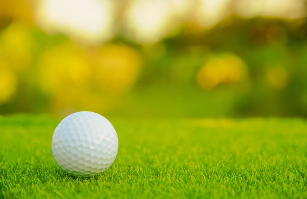 Disney Magnolia Golf Course. One of the best Disney World experiences you must try!