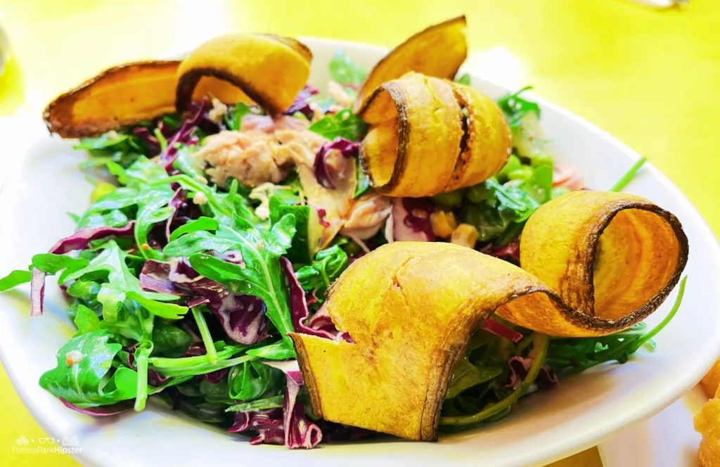 Universal Studios Florida Minion Land Minion Cafe Kevin's Chopa Chopa Salad with purple cabbage arugula tomatoes cucumber edamame chicken and green banana chips