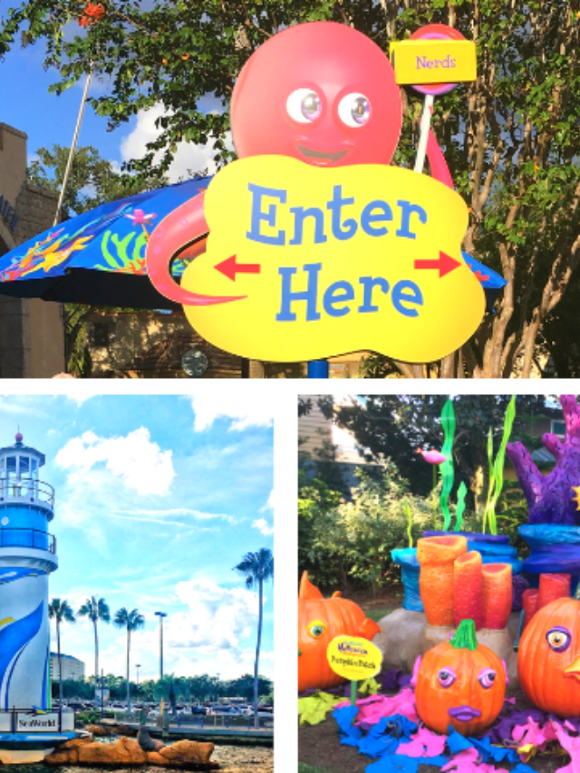 15 BEST SeaWorld Spooktacular Tips (2023 First-timer’s Guide) Story