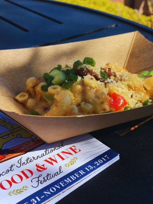 17 Fun Things YOU Must Do at the Epcot Food and Wine Festival Story