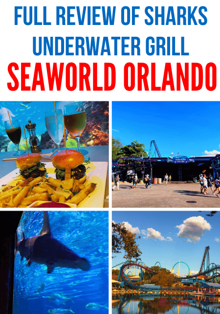 Full Review of Sharks Underwater Grill Restaurant at SeaWorld Orlando