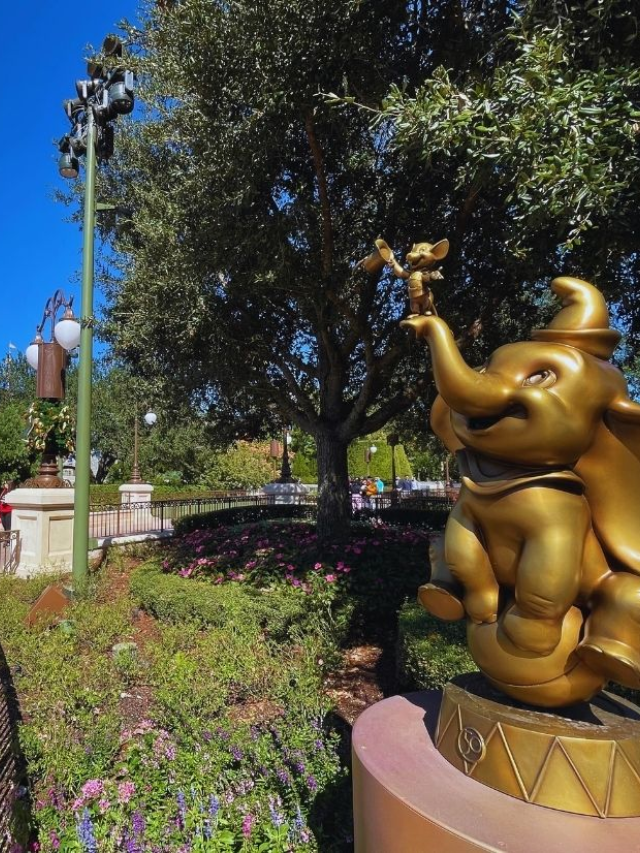 Top 10 BEST Things to Do at Disney World for Solo Travelers Story