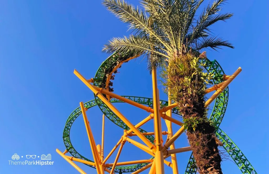 Cheetah Hunt Roller Coaster at Busch Gardens Tampa Ba