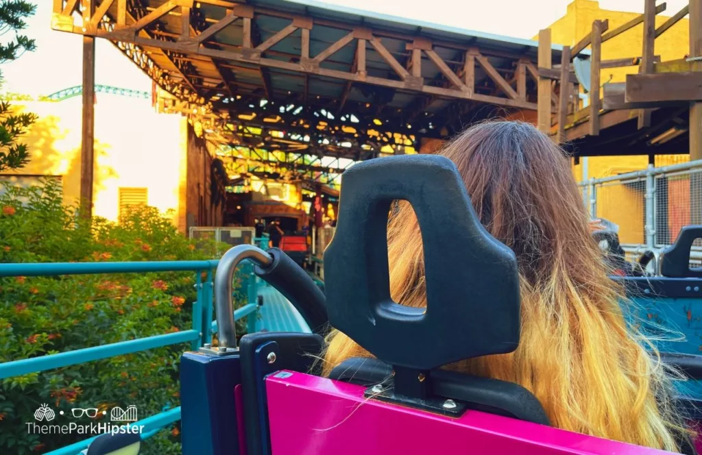 Cobra's Curse Roller Coaster at Busch Gardens Tampa Bay