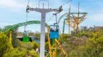 Skyride at Busch Gardens Tampa 3