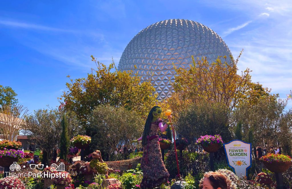 Asha from Wish Topiary Epcot Flower and Garden Festival 2024 at Disney World
