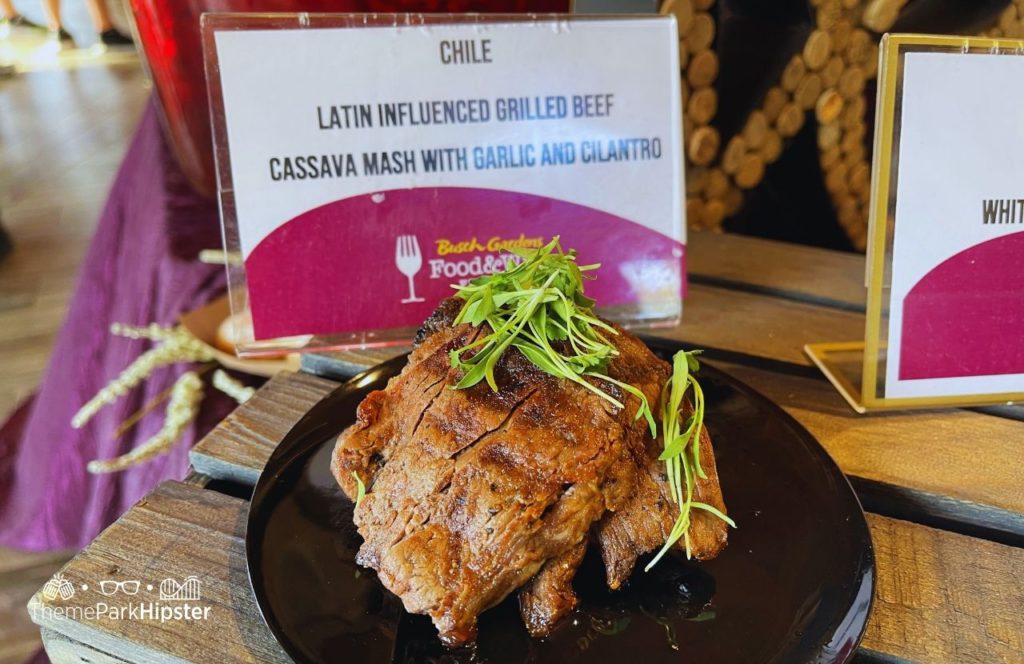 Busch Gardens Tampa 2025 Food and Wine Festival Grilled Beef Chile