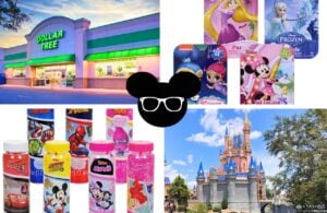 Dollar Tree Disney Packing List