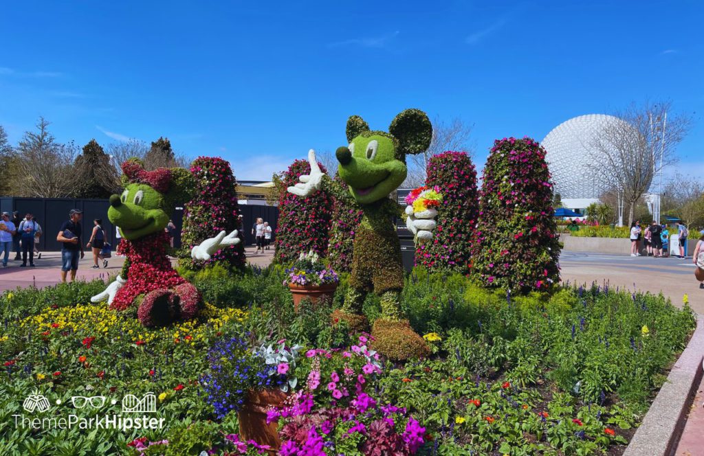 Pluto Mickey and Minnie Mouse Topiary Epcot Flower and Garden Festival. Keep reading to find out more about volunteering with runDisney. 
