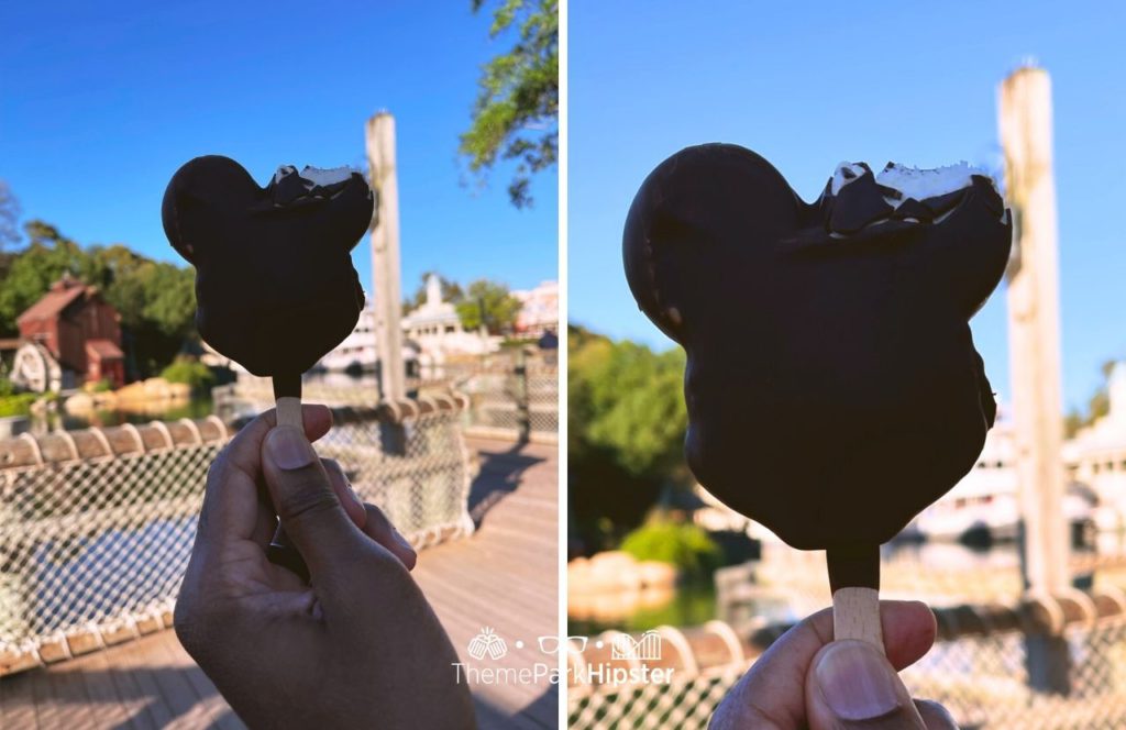 Disney Magic Kingdom Park Mickey Mouse Bar Ice Cream Snack and Dessert