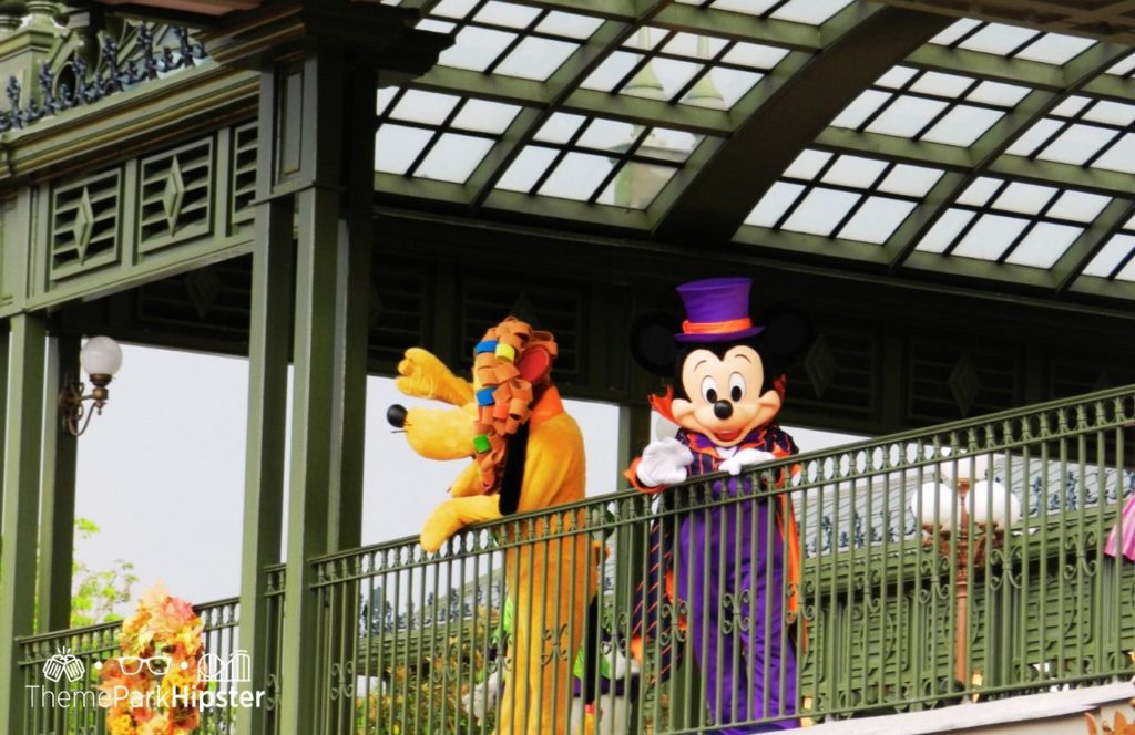 Disney Magic Kingdom Park Pluto and Mickey Mouse Character Meet and Greet in Halloween Costumes