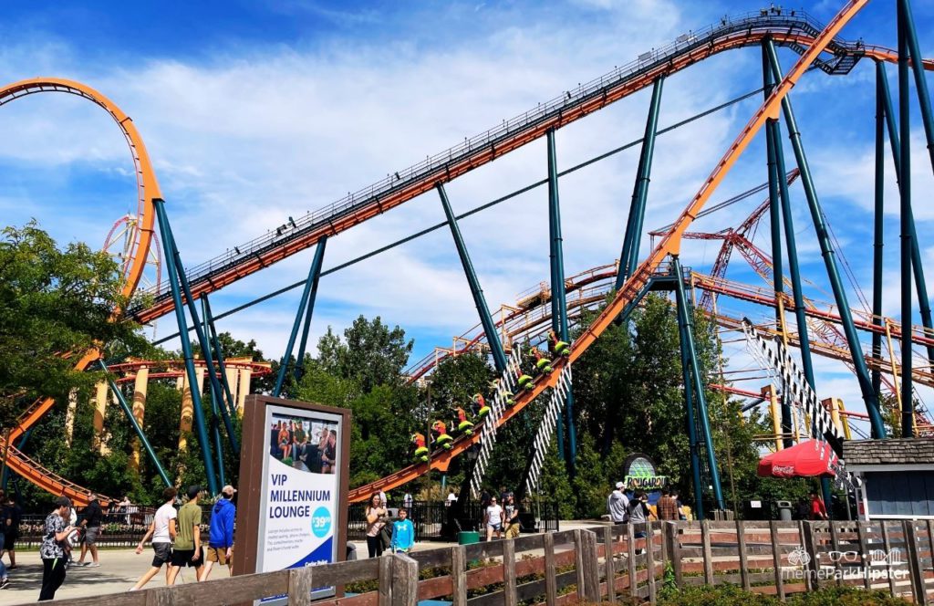 Cedar Point Amusement Park Ohio Rougarou Roller Coaster
