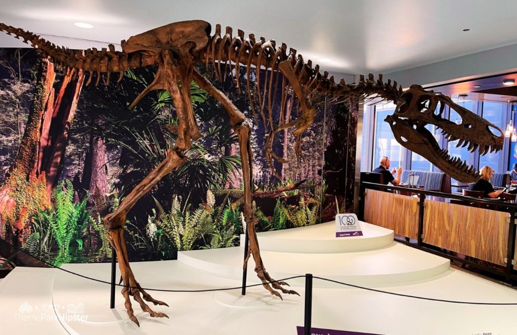 One of the best things to do in Cleveland, Ohio Airport Museum of Natural History Dinosaur. Keep reading for your full guide to the perfect road trip from Cleveland to Cedar Point.