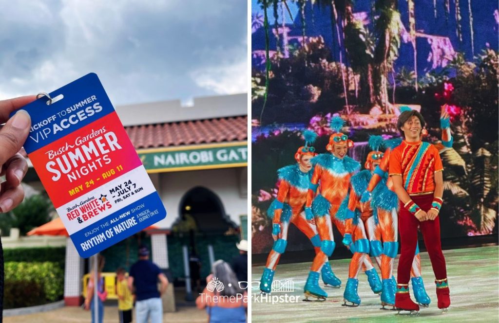 Summer Nights at Busch Gardens Tampa