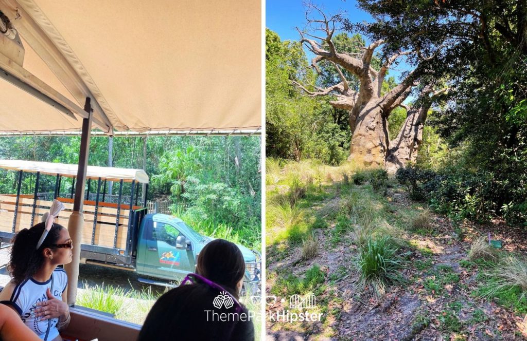 Africa Kilimanjaro Safaris Disney Animal Kingdom Theme Park. Keep reading to get the best secrets of Animal Kingdom.