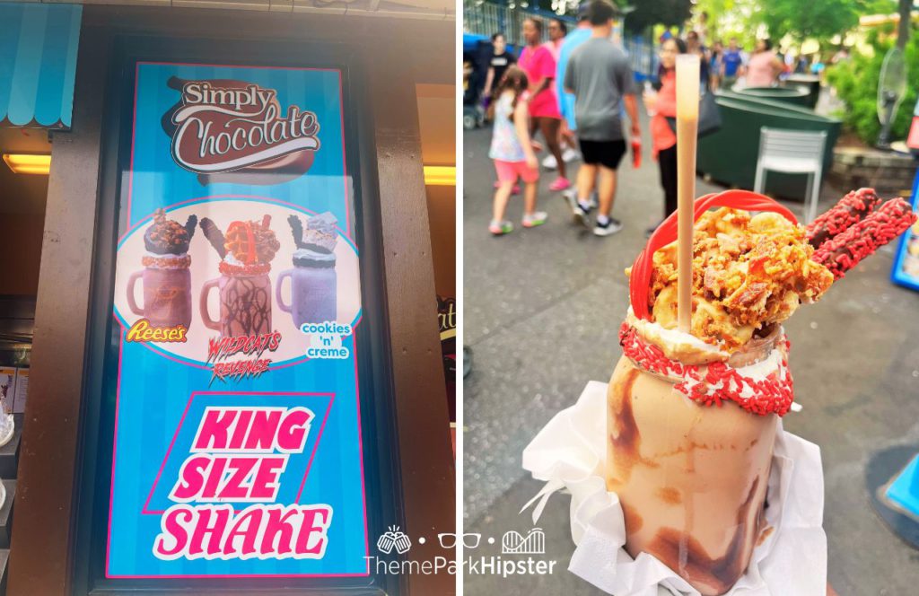 Hersheypark Theme Park King Size Shake with Wildcat's Revenge Drink.