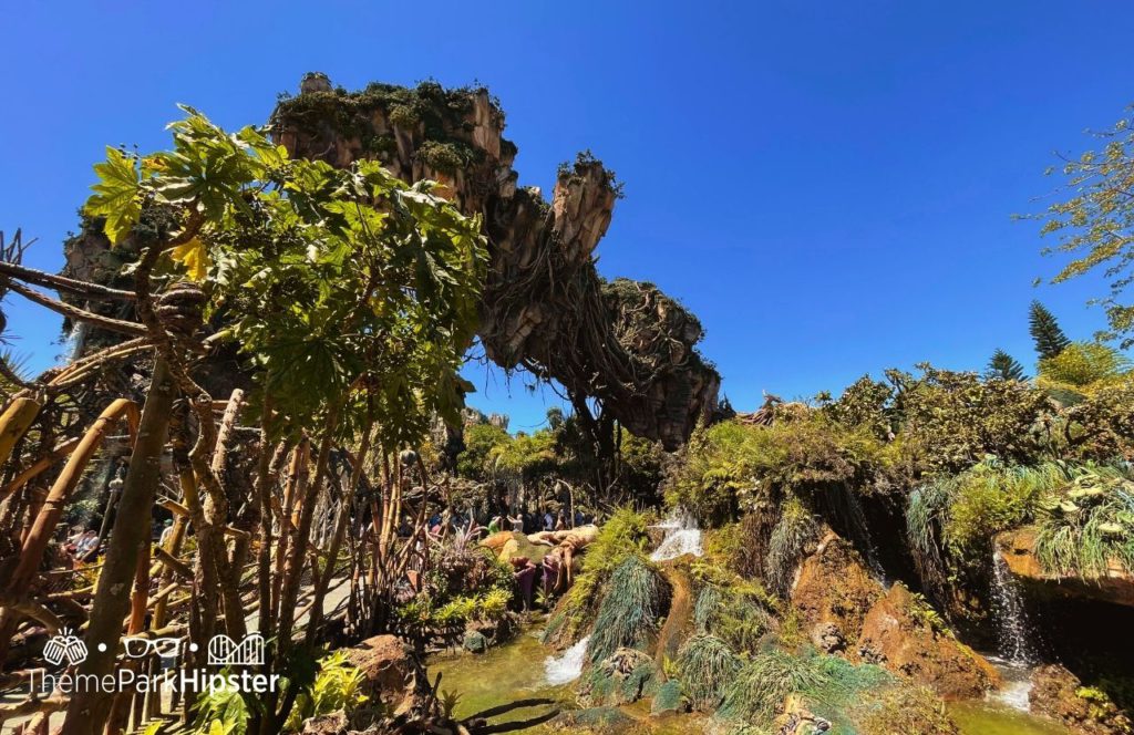 Pandora World of Avatar floating mountains Disney Animal Kingdom Theme Park