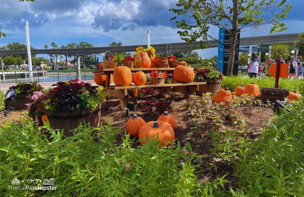 2024 Epcot Food and Wine Festival Fall Pumpkins