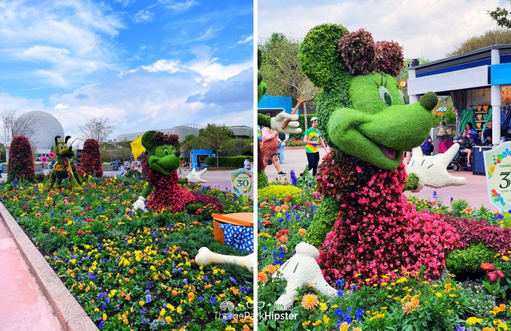 2025 Epcot Flower and Garden Festival Mickey Minnie and Pluto topiary garden