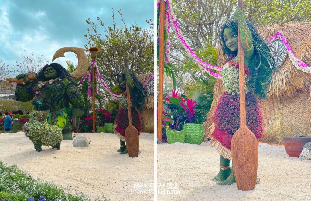 2025 Epcot Flower and Garden Festival Moana and Maui Topiary