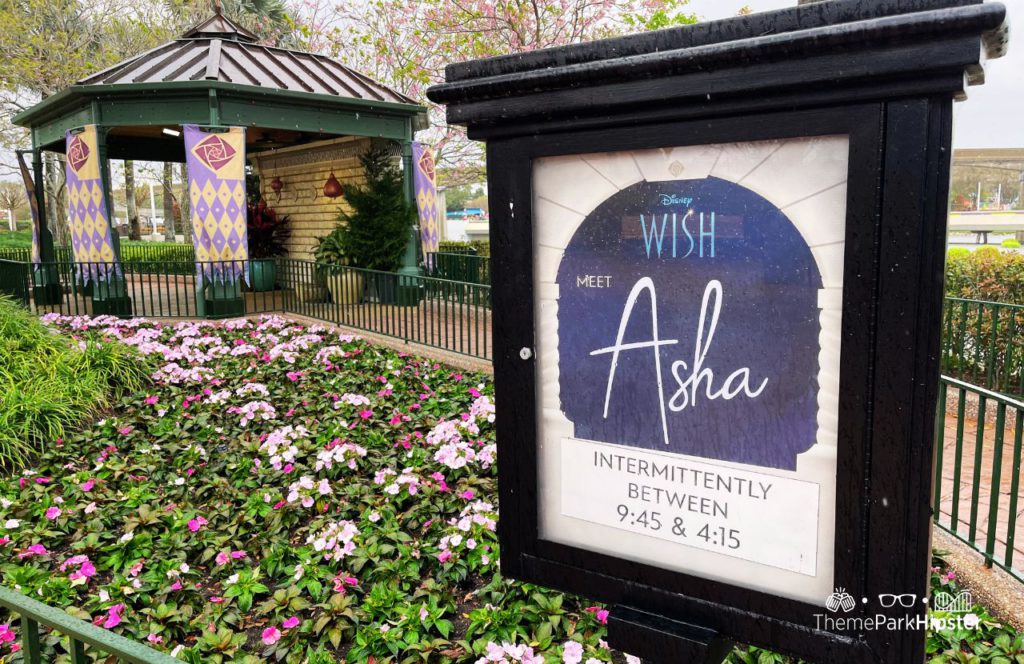 Epcot Flower and Garden Festival rainy day Asha character meet and greet
