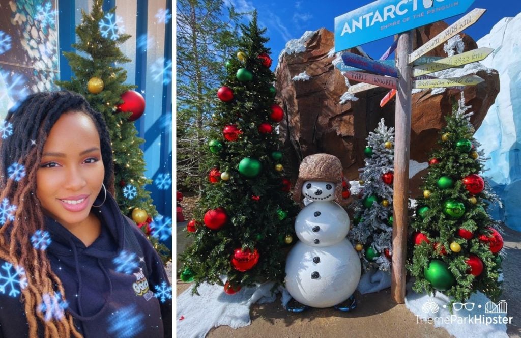 SeaWorld Orlando Theme Park Antartica Christmas Trees with NikkyJ. Keep reading to learn more about what to do for New Year's Eve in Orlando.
