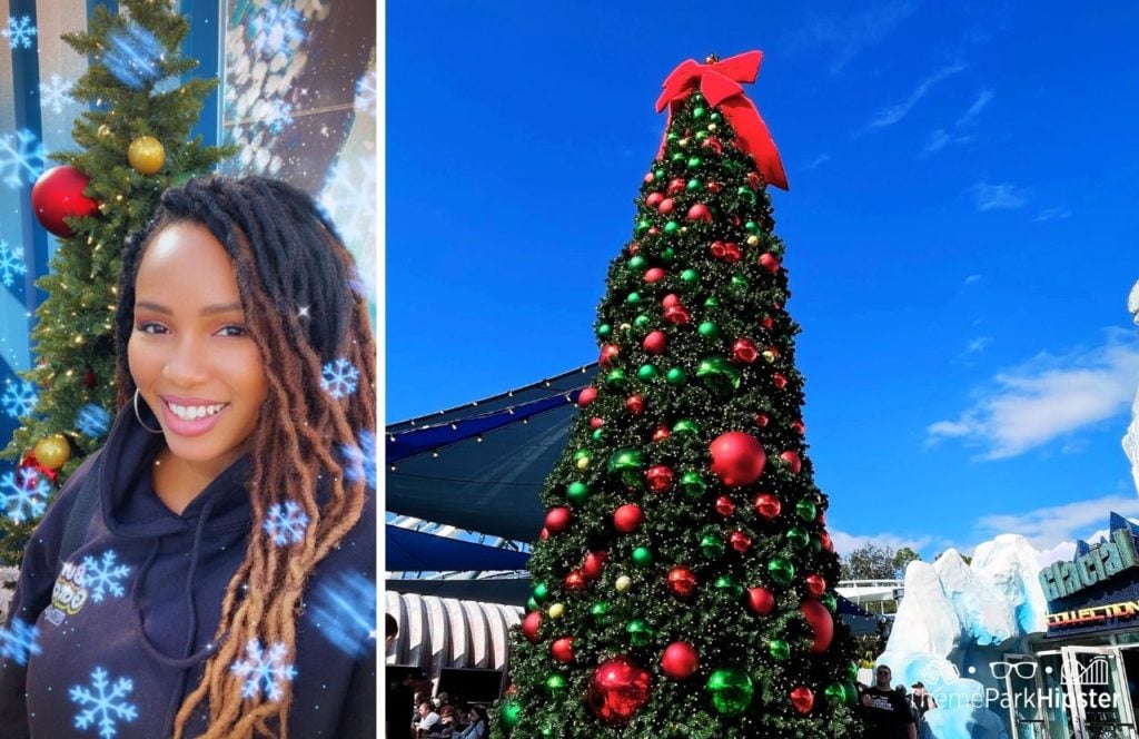 SeaWorld Orlando Theme Park Antartica Christmas Trees with NikkyJ