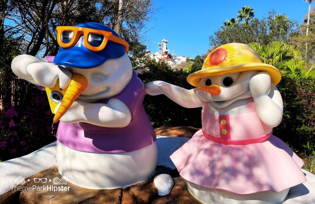 Disney Blizzard Beach Water Park Summit Plummet