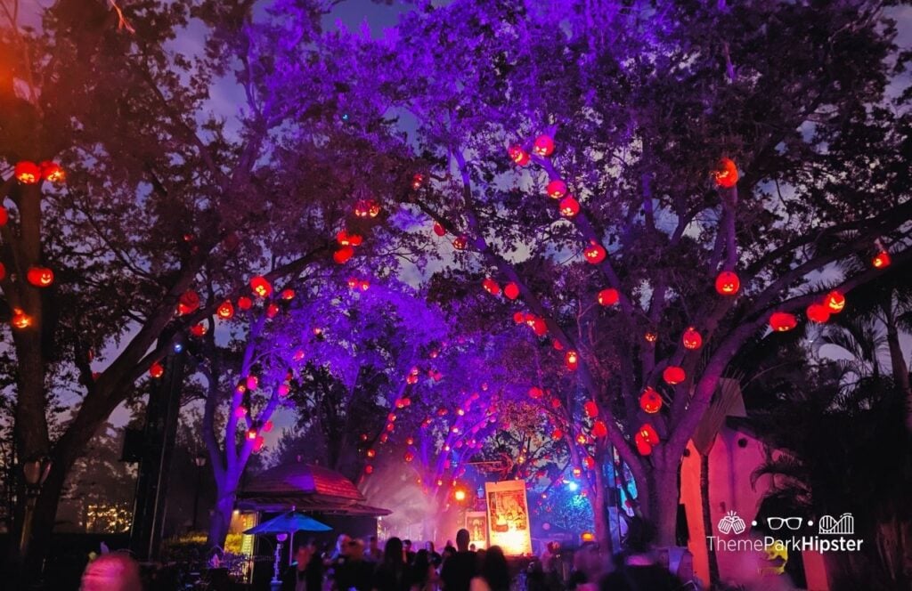The Cat Lady of Crooked Lane Scare Zone Universal Studios Halloween Horror Nights 2025 HHN 34 