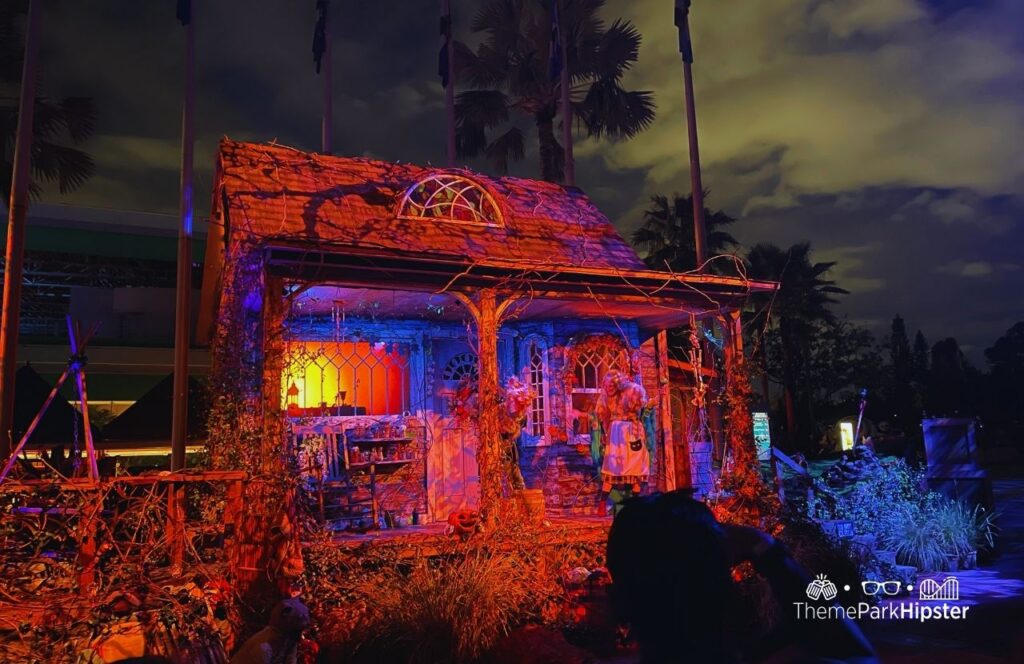 The Cat Lady of Crooked Lane Scare Zone Universal Studios Halloween Horror Nights 2025 HHN 34