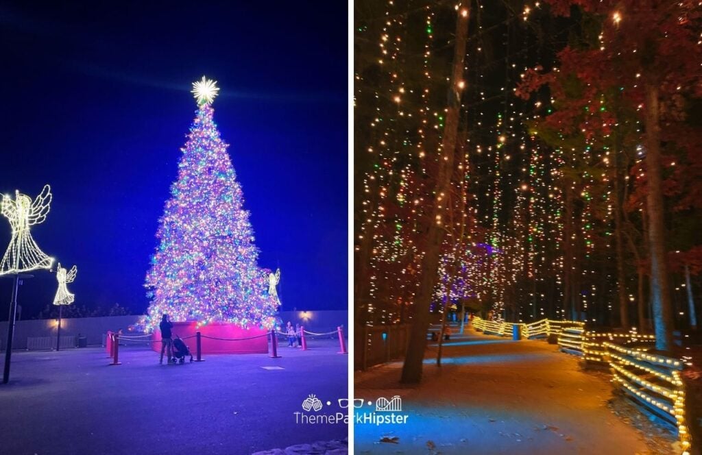 An Old Time Christmas lights and tree at Silver Dollar City Theme Park in Branson, Missouri