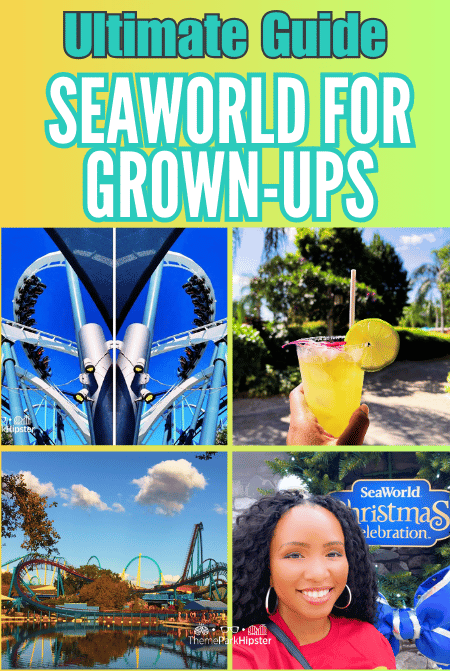 Travel Guide to SeaWorld Orlando for Adults